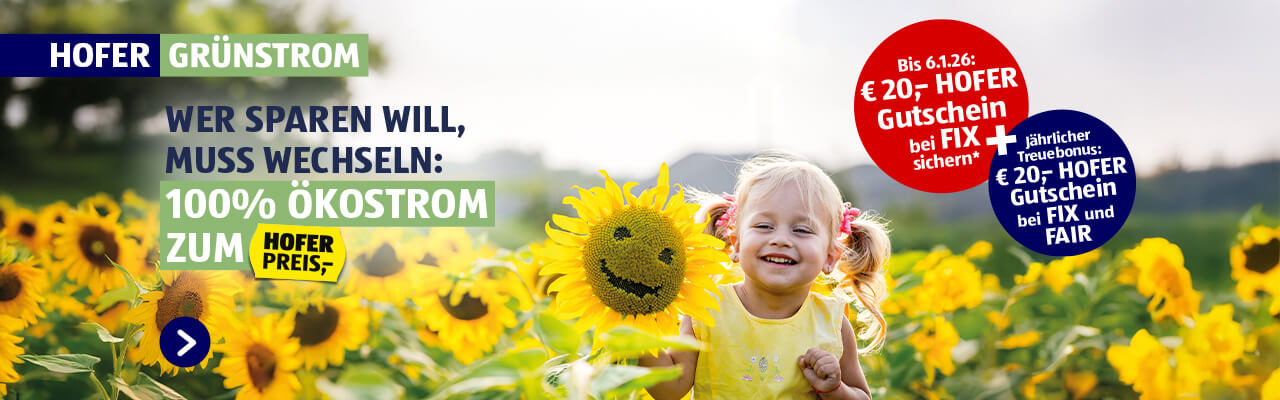 Wer sparen will muss wechseln: 100% ÖKOSTROM ZUM HOFER PREIS,-!